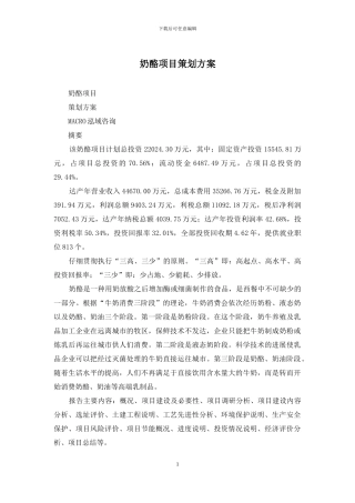 奶酪项目策划方案