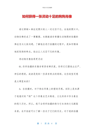 如何获得一张灵动十足的狗狗肖像