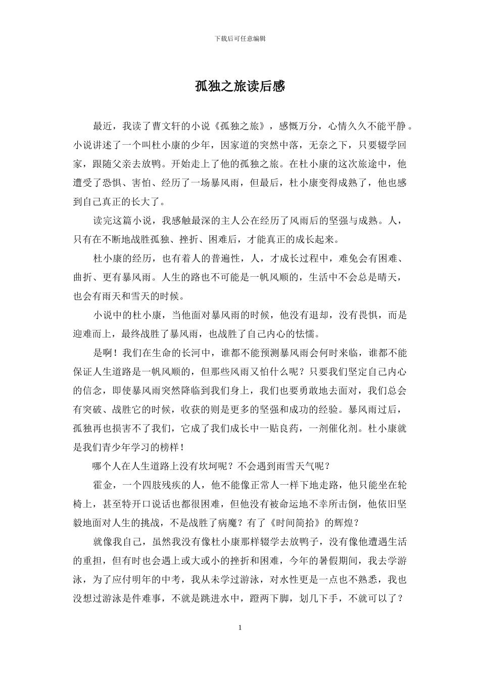 孤独之旅读后感_第1页