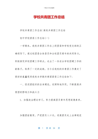 学校共青团工作总结