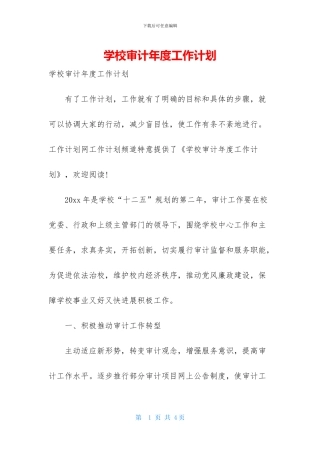 学校审计年度工作计划