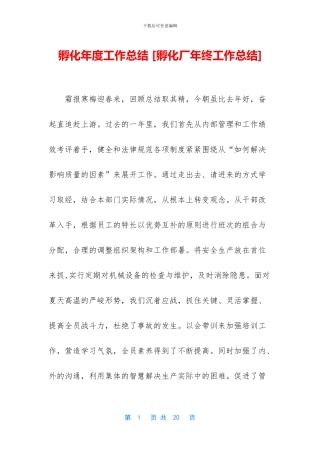 孵化年度工作总结