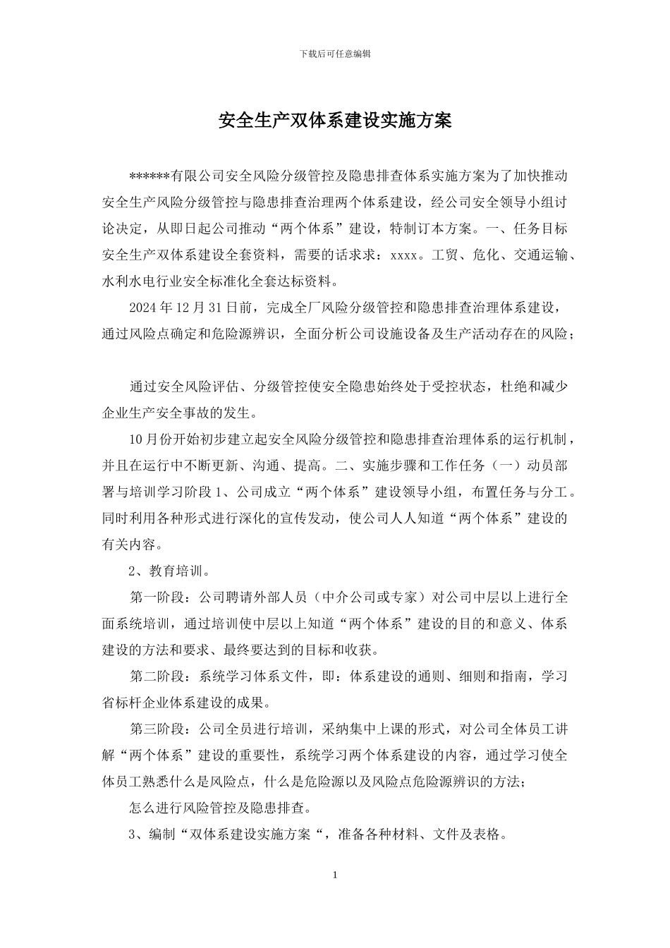 安全生产双体系建设实施方案_第1页