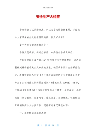 安全生产大检查