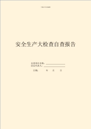 安全生产大检查自查报告