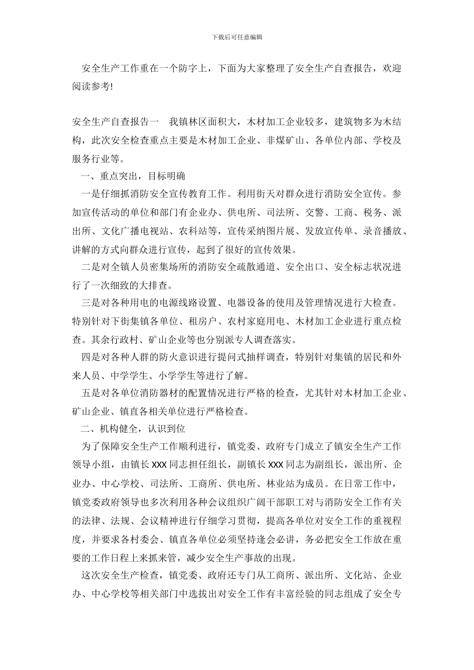 安全生产自查报告_第2页