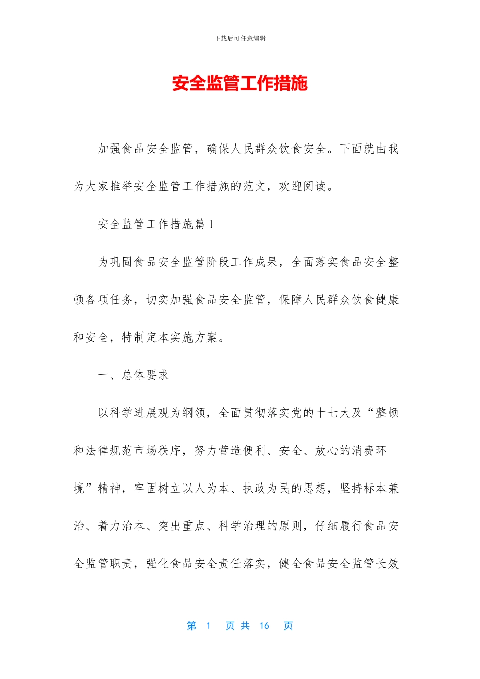 安全监管工作措施_第1页