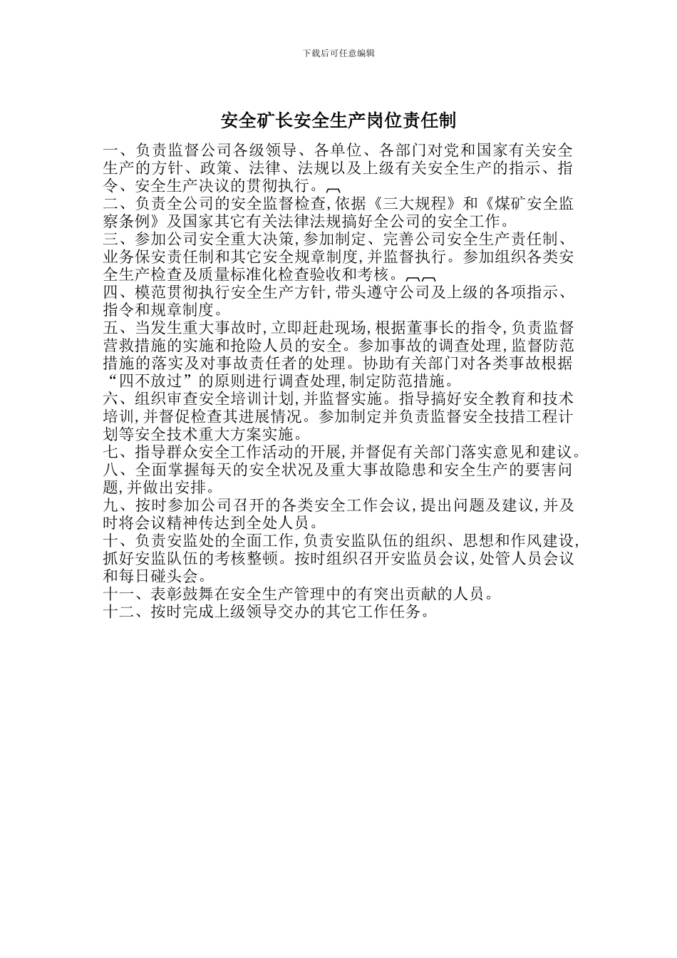 安全矿长安全生产岗位责任制_第1页