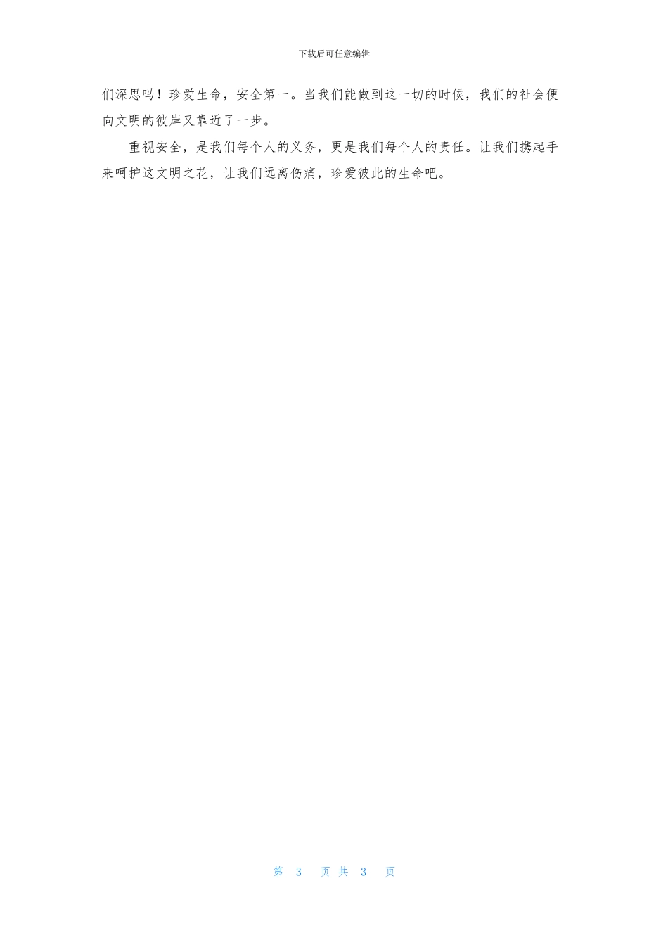 安全第一小学作文_第3页