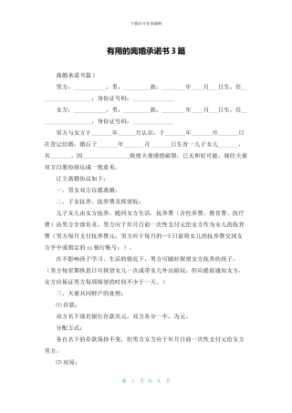 实用的离婚承诺书3篇