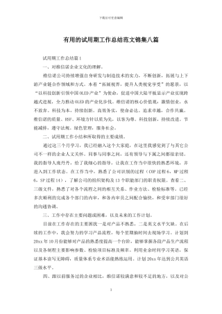 实用的试用期工作总结范文锦集八篇