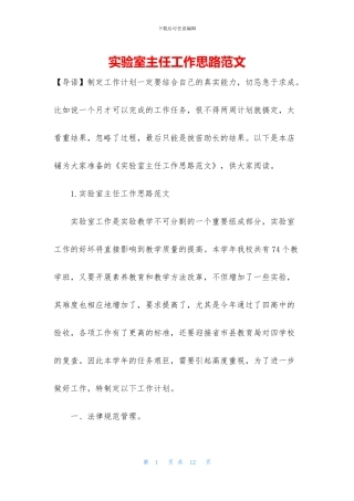 实验室主任工作思路范文