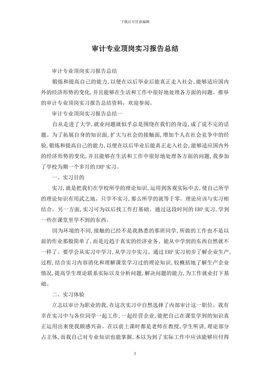 审计专业顶岗实习报告总结_第1页