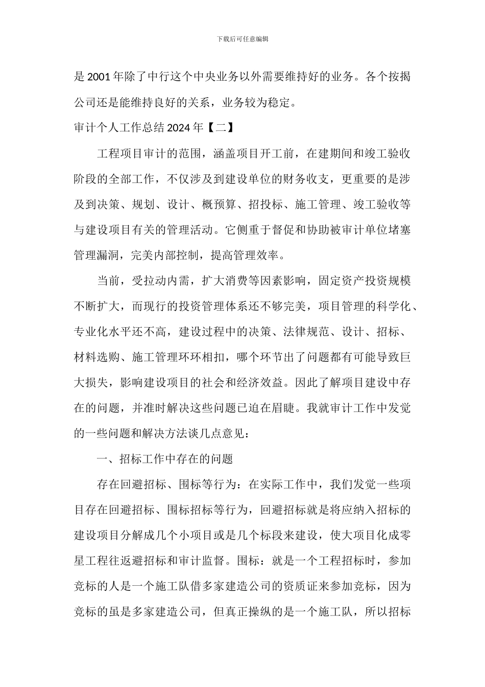 审计个人工作总结2024年_第2页