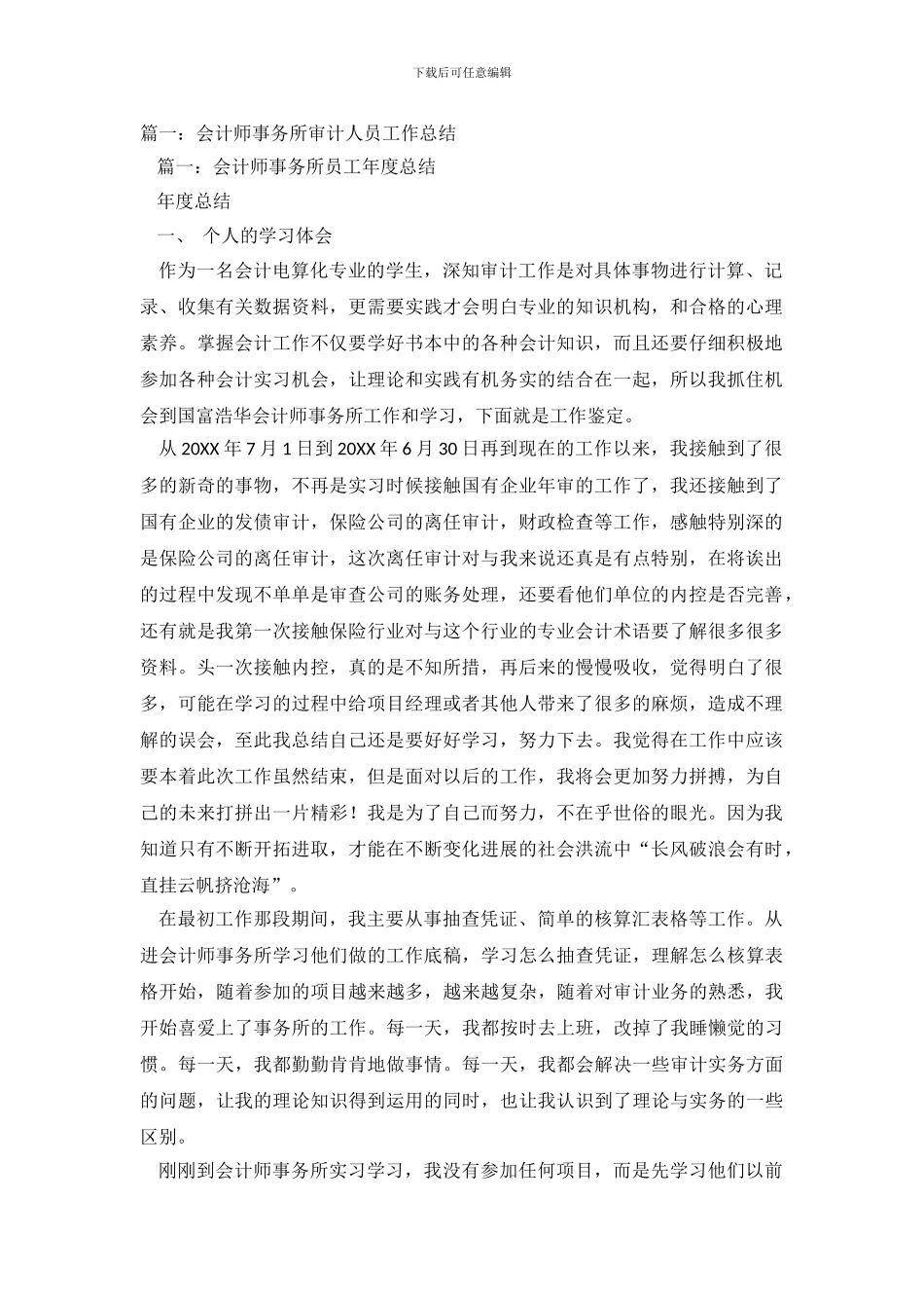 审计人员工作总结_第2页