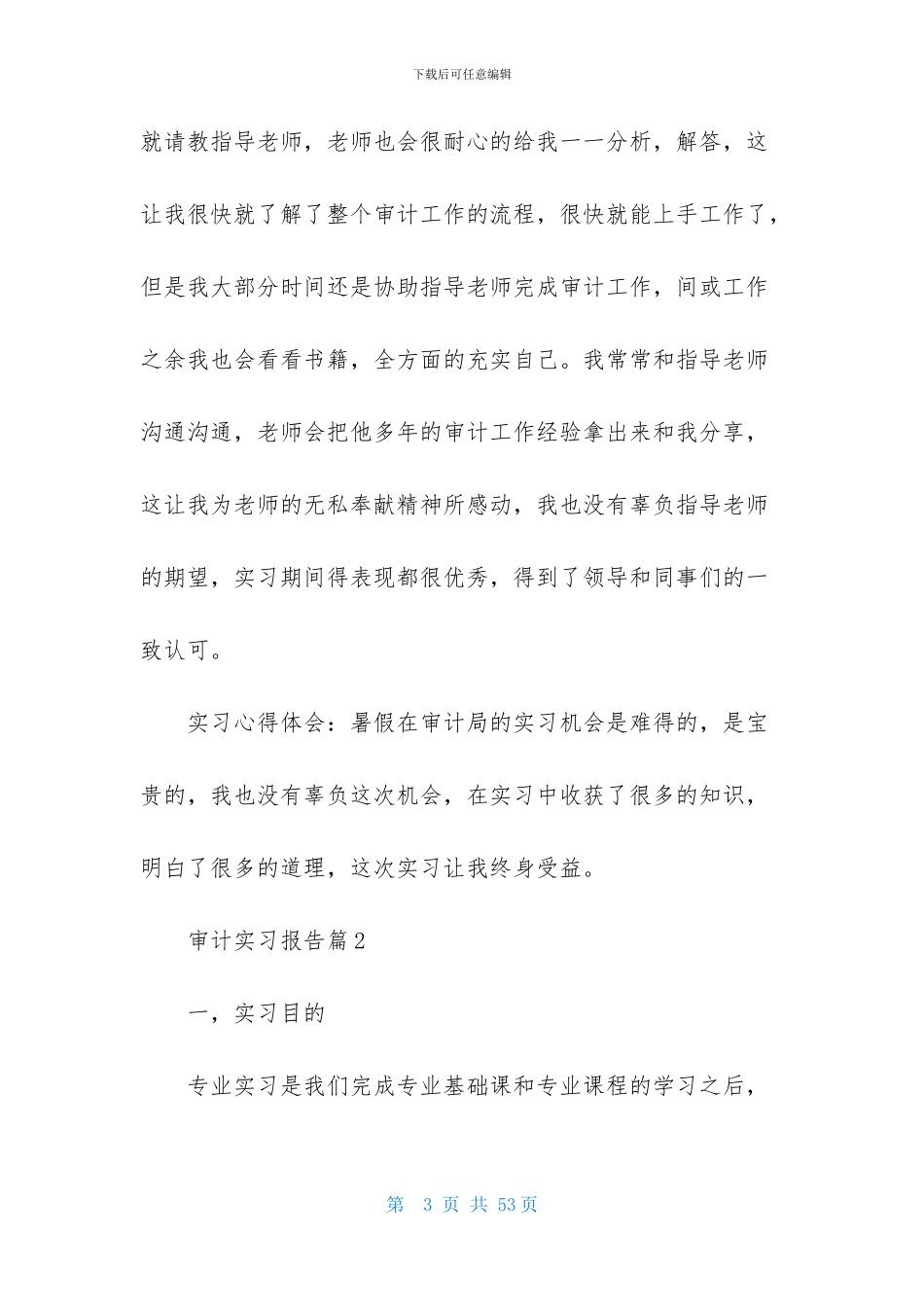 审计实习报告模板汇总九篇_第3页
