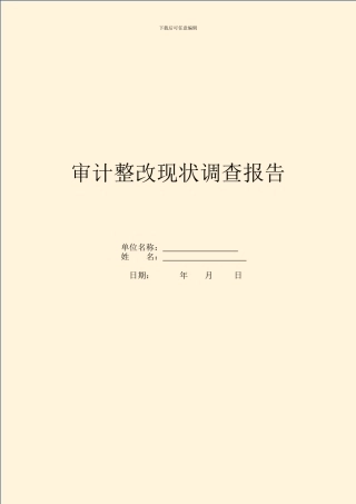审计整改现状调查报告