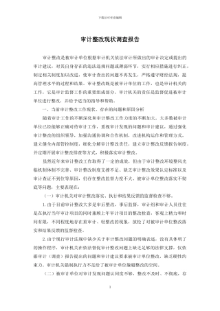 审计整改现状调查报告
