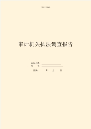 审计机关执法调查报告