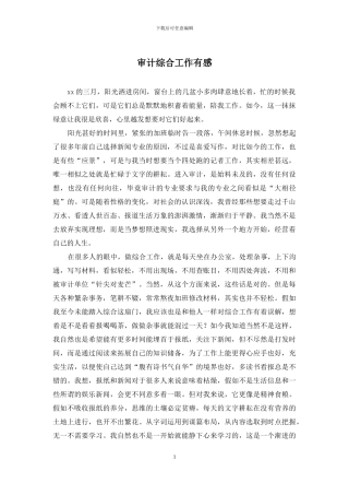 审计综合工作有感