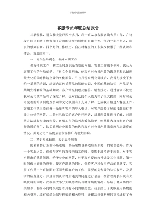 客服专员年度总结报告