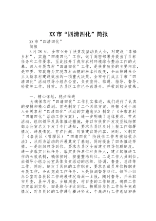 XX市“四清四化”简报