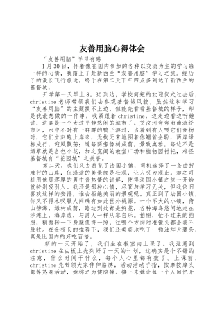 友善用脑心得体会