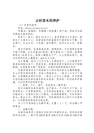 云杉苗木的养护_1