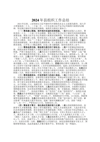 2024年县组织工作总结
