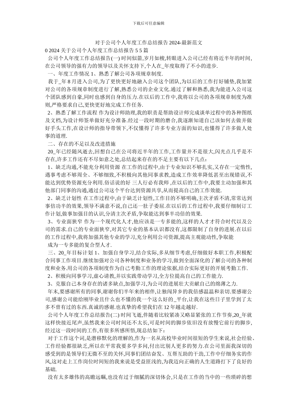 对于公司个人年度工作总结报告2024_第1页