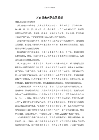 对自己未来职业的展望