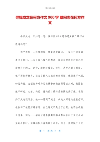 寻找成龙在何方作文900字