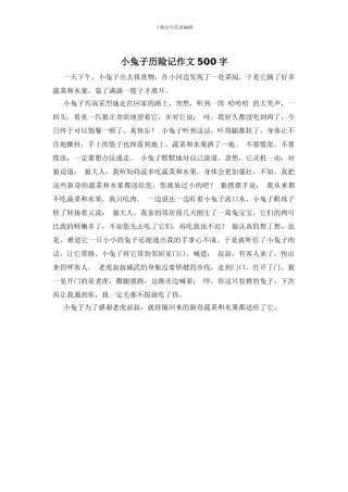 小兔子历险记作文500字