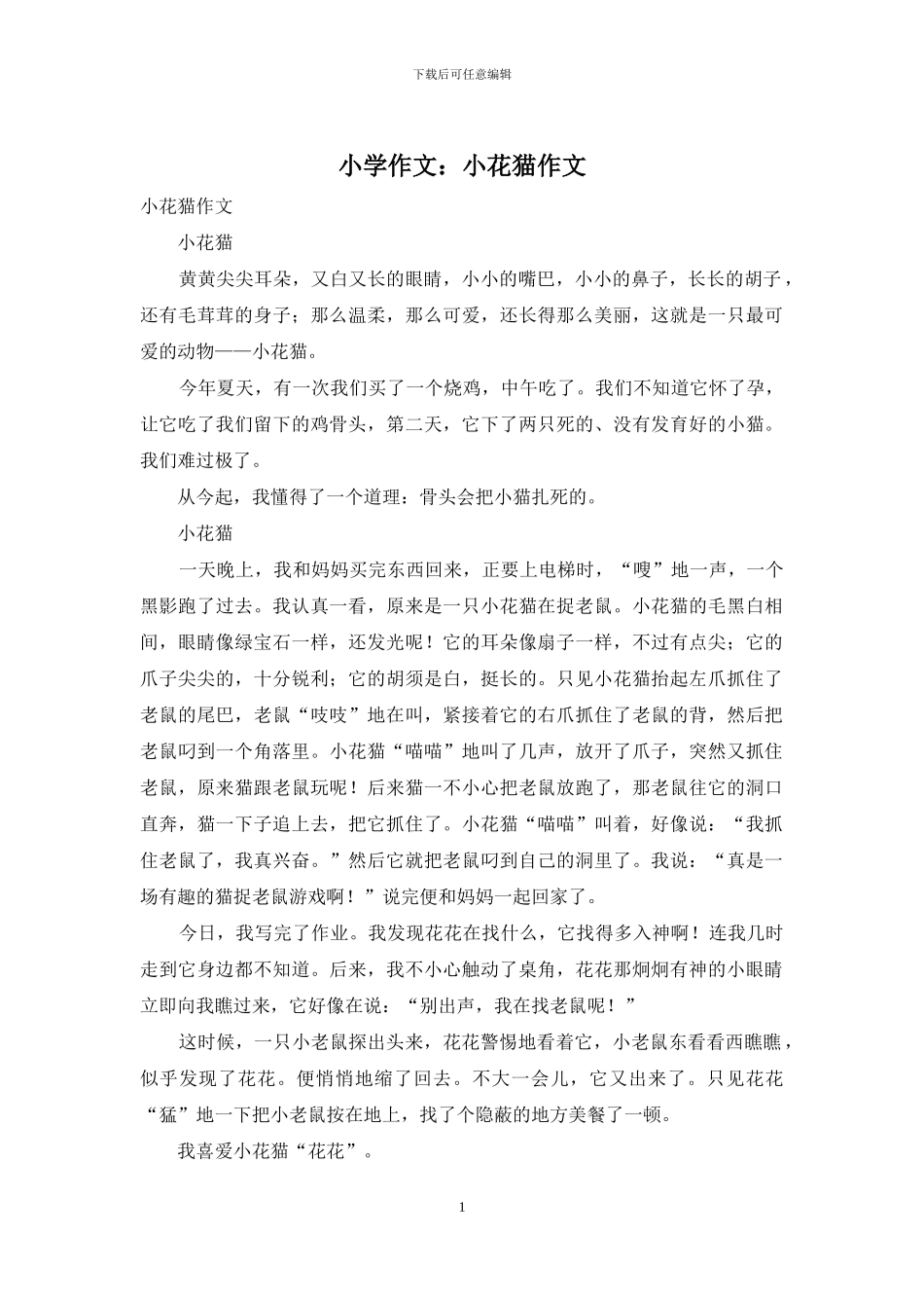 小学作文：小花猫作文_第1页