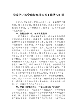 党委书记抓党建促乡村振兴工作情况汇报