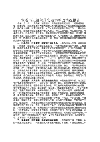 党委书记组织落实巡察整改情况报告