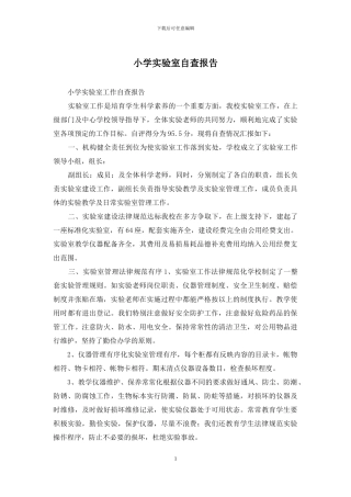 小学实验室自查报告