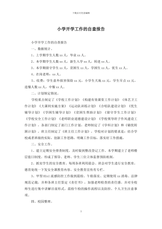 小学开学工作的自查报告