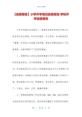 小学开学情况自查报告
