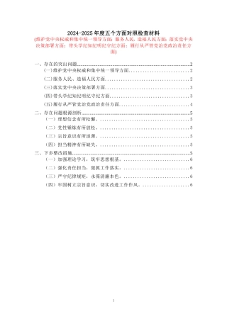 2024-2025年度五个方面剖析整改措施 二