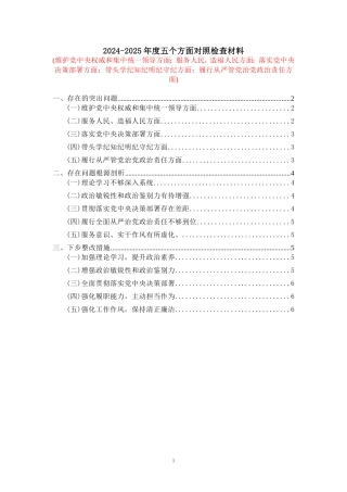 2024-2025年度五个方面剖析整改措施 三