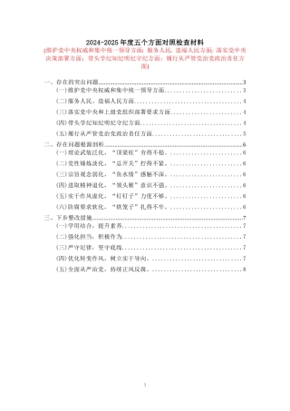 2024-2025年度五个方面剖析整改措施 五
