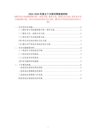 2024-2025年度五个方面剖析整改措施