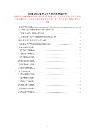 2025五个方面剖析整改措施二