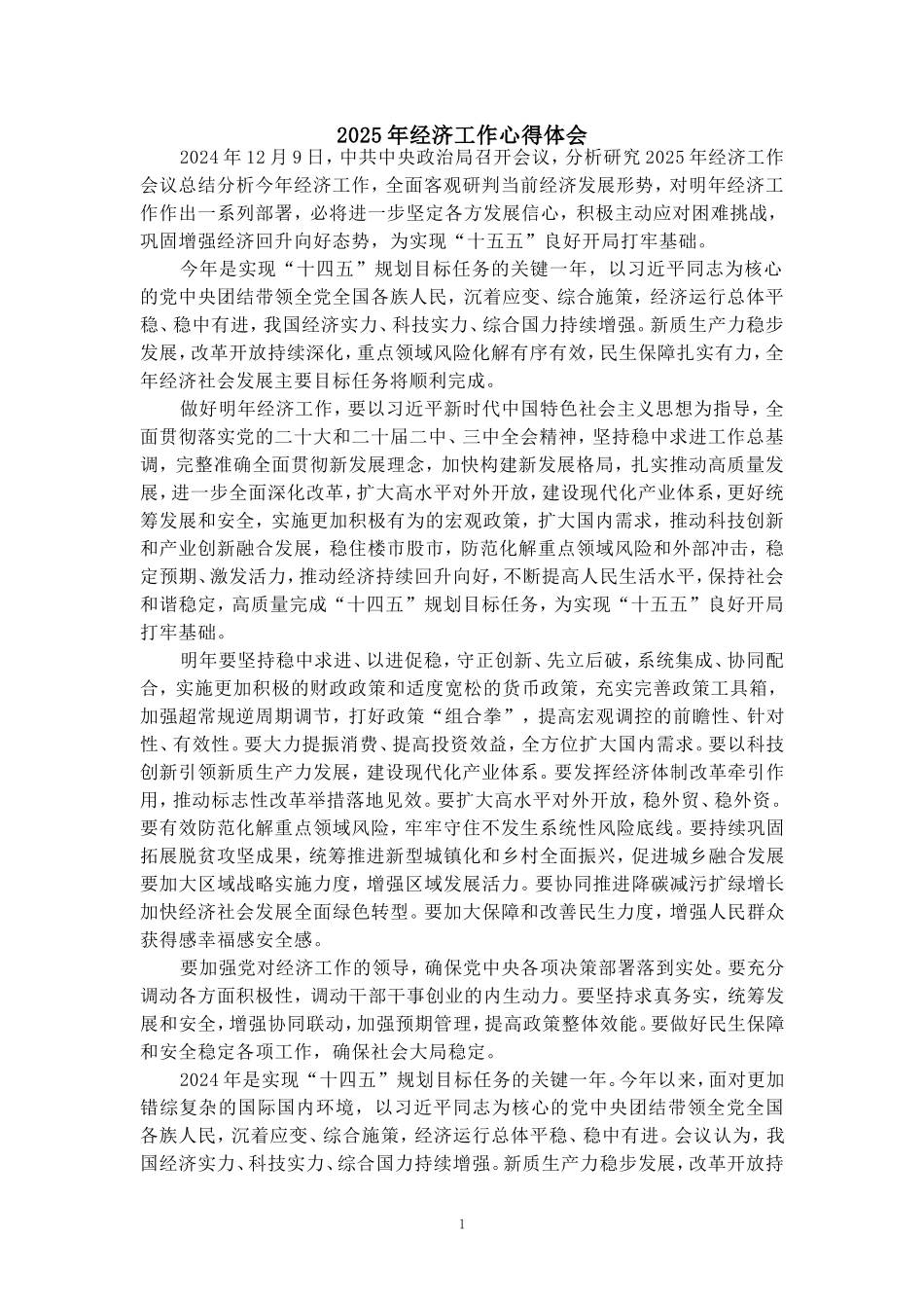 2025年经济工作心得体会_第1页