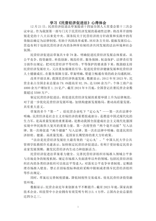 学习《民营经济促进法》心得体会