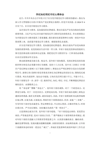 学纪知纪明纪守纪心得体会二
