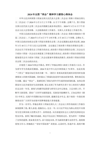 2024年全国“两会”精神学习感悟发言材料四
