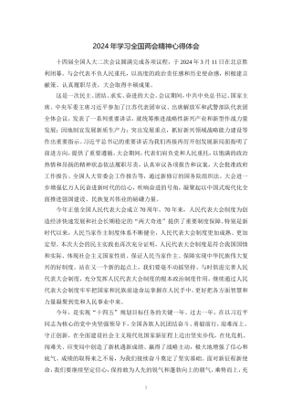 2024年学习全国两会精神心得体会一
