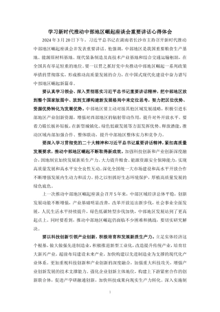 学习新时代推动中部地区崛起座谈会重要讲话心得体会